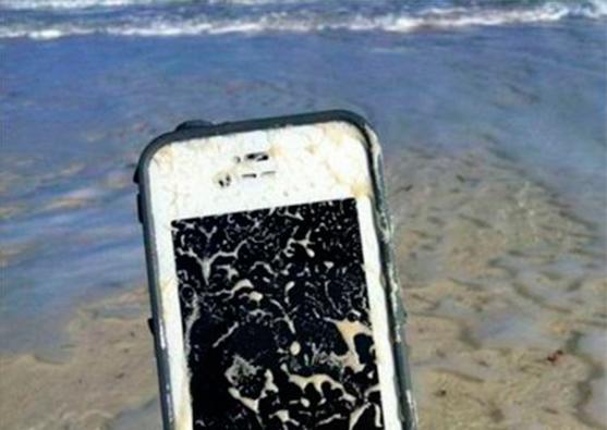 Hər taxta parçasını tapdayıb keçməyin! - Foto 5