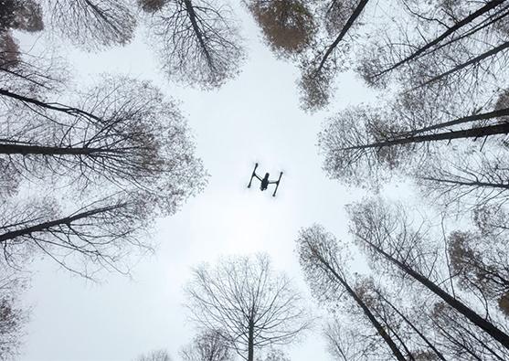 Он сверху - Foto 8