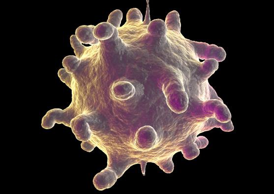 Bakıda epidemiya yayılıb - Foto 5